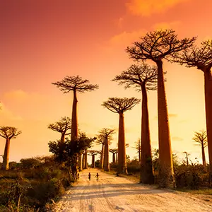 Madagascar